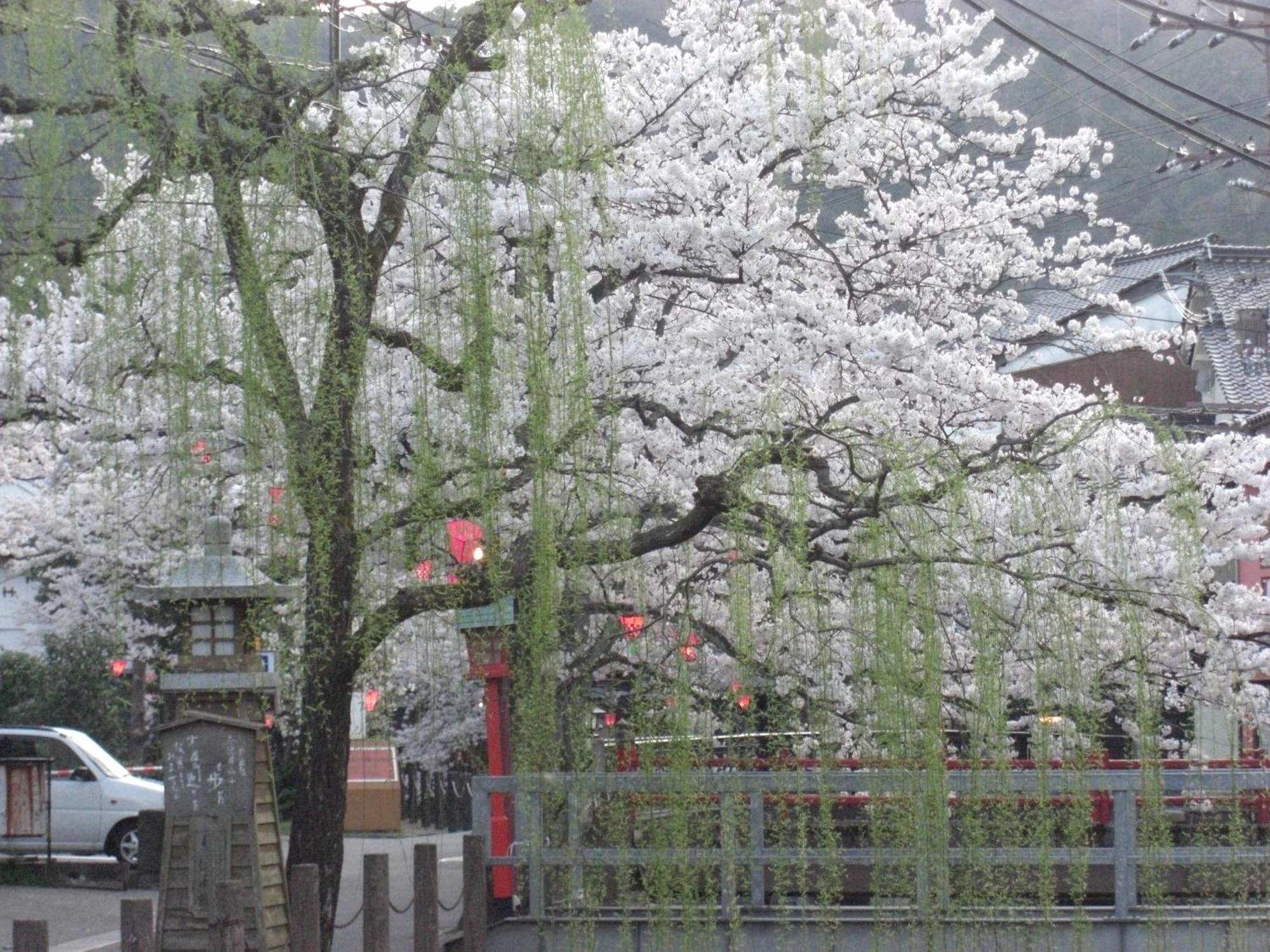 Ryokan Matsuya Hotel Toyooka  Exterior photo